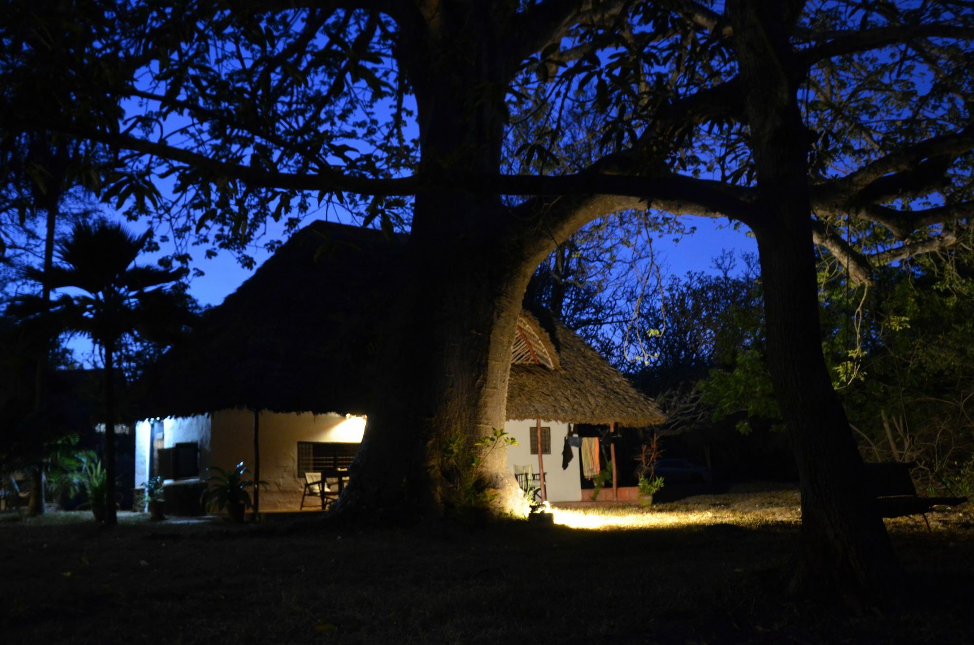 Hotel Diani House à Diani Beach Extérieur photo